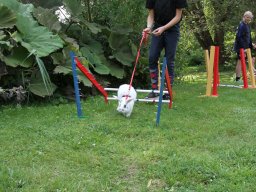 IMG_1306_web